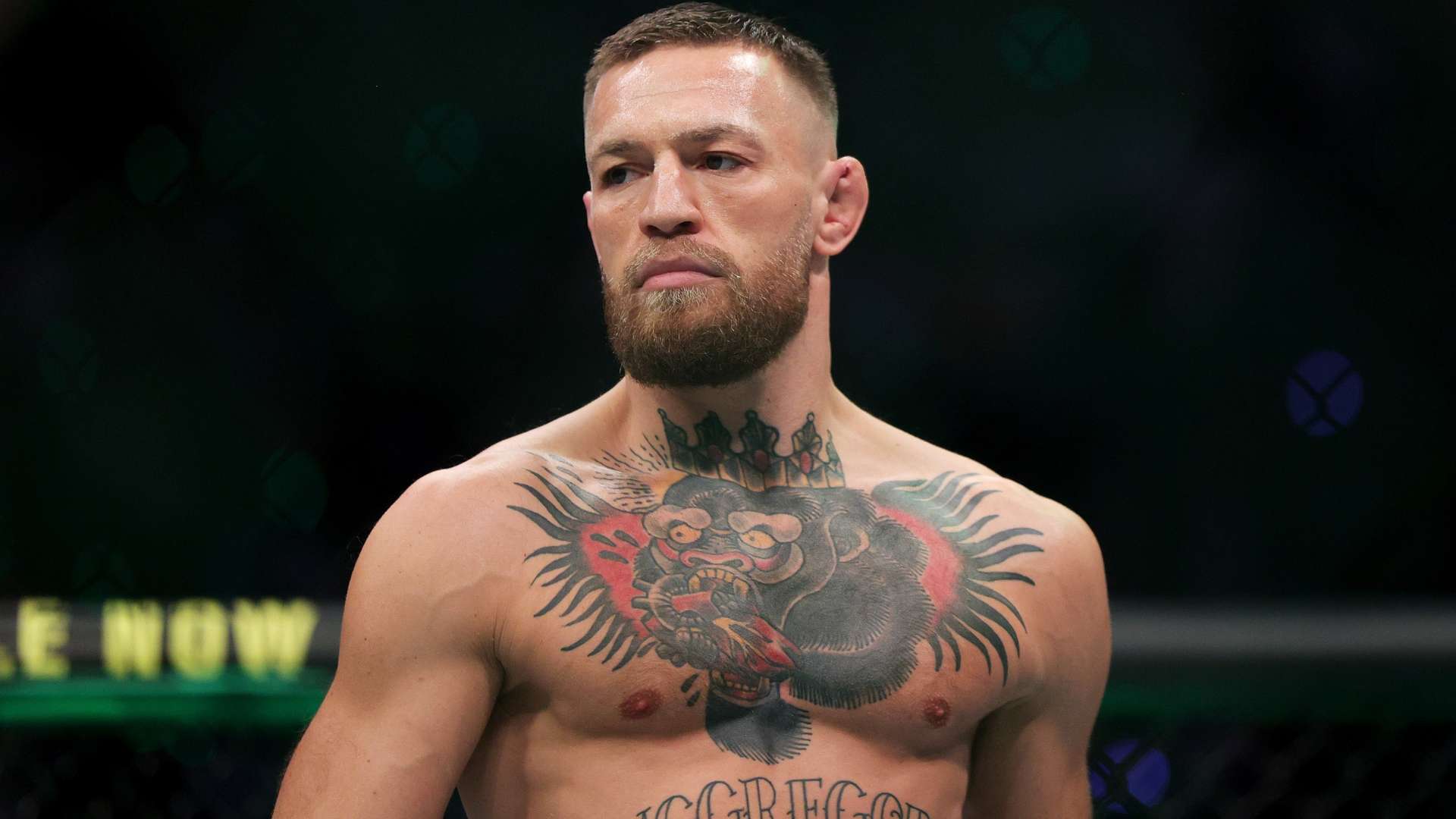 正在逐渐成 正在逐渐成